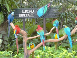 p489104-singapore_city-jurong_birdpark.jpg